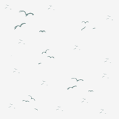 seagulls_10
