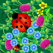 ladybugs