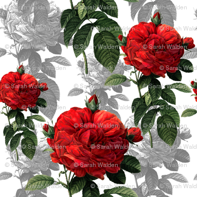 Redoute' Roses ~ Red and Grey