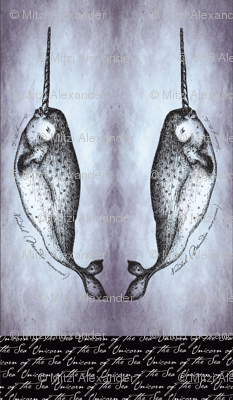 Narwhal Body Pillow Cover