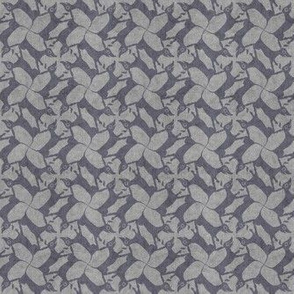 gray_doxies