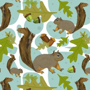 Woodland squirrels