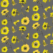 anemones_yellow