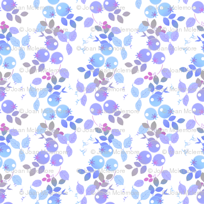Blueberries in lavendar and blue