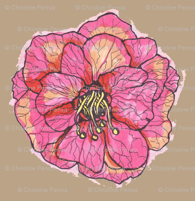 Pink Rose on Tan Background