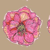Flowerwithbrown_shop_thumb