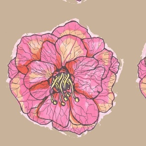 Pink Rose on Tan Background