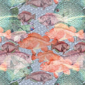 Something Fishy This Way Comes