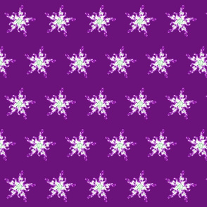 bellflower