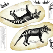 Thylacine Cut & Sew