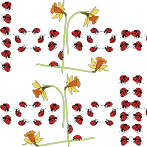 daffodil_and_lady_beetle