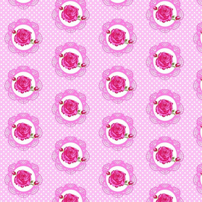 cameo pink roses