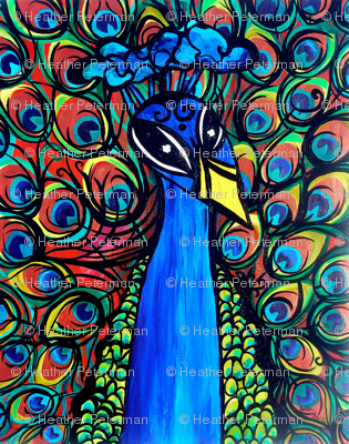 Mr Brighten Peacock 