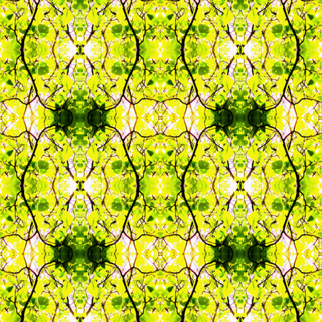 Spring Catalpa Trees fabric by ravynscache on Spoonflower - custom fabric