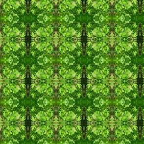 Maple Leaf Rag