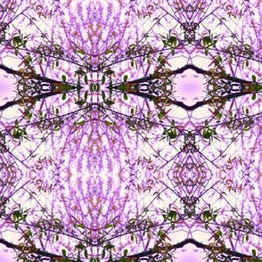 Amethyst Branches