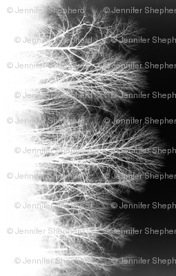 Ghost Forest v2 - black and white