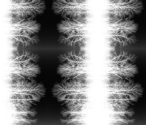 Rghostforestbnw_shop_preview