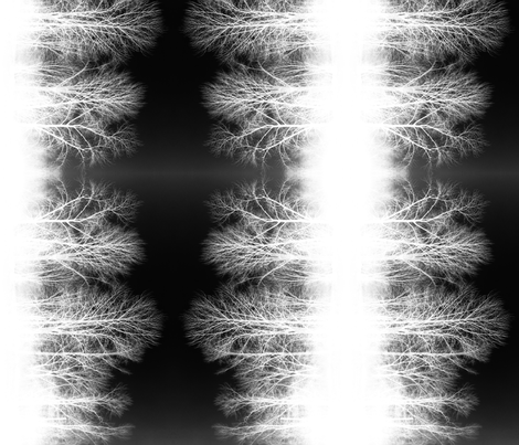 Ghost Forest v2 - black and white fabric by jenithea on Spoonflower - custom fabric