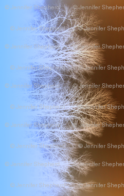 Ghost Forest v2 - more intense blue/brown