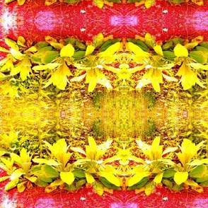 Wild Mullein