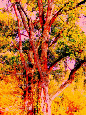 Tiny Trees