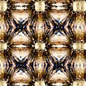 76936_10200383409569211_1683492385_n_ed_shop_thumb