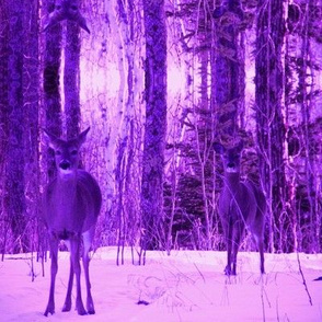 Purple Deer