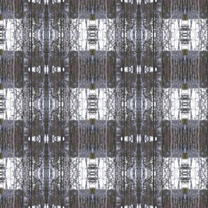 Birch Tree Checkerboard