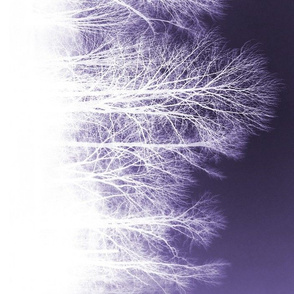 Ghost Forest v2 - purple and white
