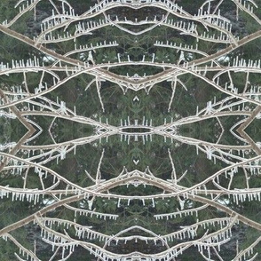 Winter Lace (natural)