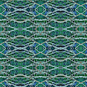 Winter Lace (enhanced)