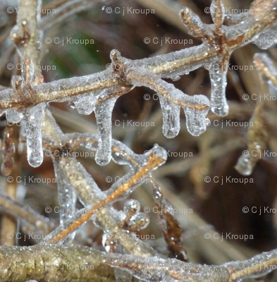 Ice Storm