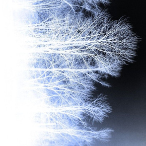 Ghost Forest v2 - black and white with blue overlay