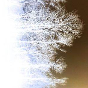 Ghost Forest v2 - brown and white with bluish overlay