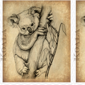 Koala Panels