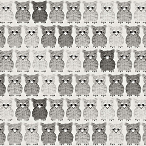 Fuzzy Gray Owlettes