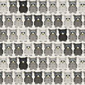 Rrrfuzzy_owls_ed_ed_shop_thumb