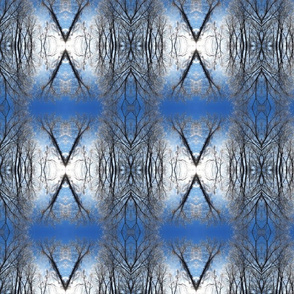 Winter Navajo Rug