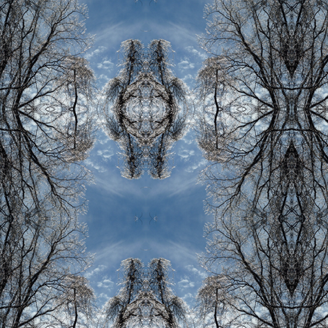 Dark Ice fabric by ravynscache on Spoonflower - custom fabric