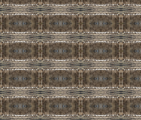 Winter Bark fabric by ravynscache on Spoonflower - custom fabric
