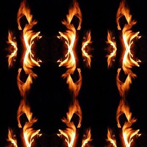 Winter Firebird