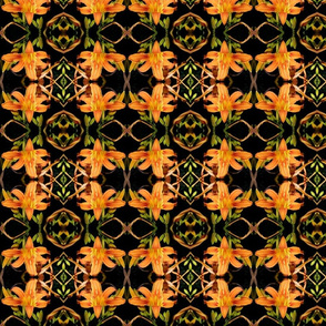Day Lilies