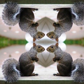 Squirrel Conference