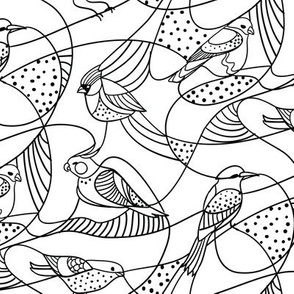 hidden birds black and white