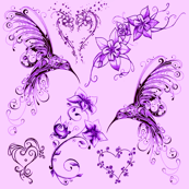 hummingbirds - lavender