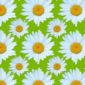 "Lazy Hazy Crazy Daisy"