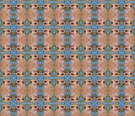 Meerkats fabric by ravynscache on Spoonflower - custom fabric