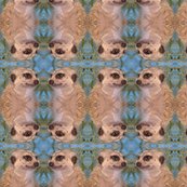 Rmeerkat_shop_thumb