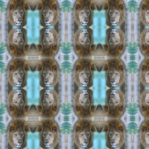 Lions